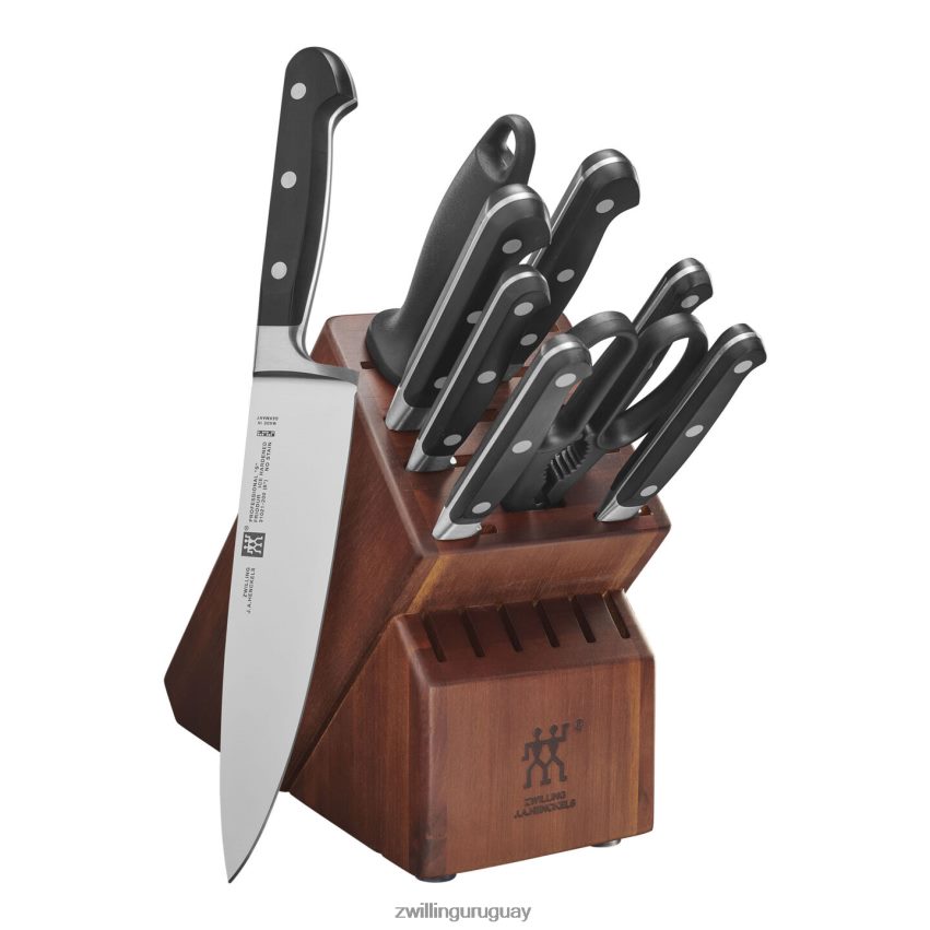 professional s juego de bloques de 10 piezas con bloque de acacia, acacia Zwilling cuchillería A688HF138 - Image 1