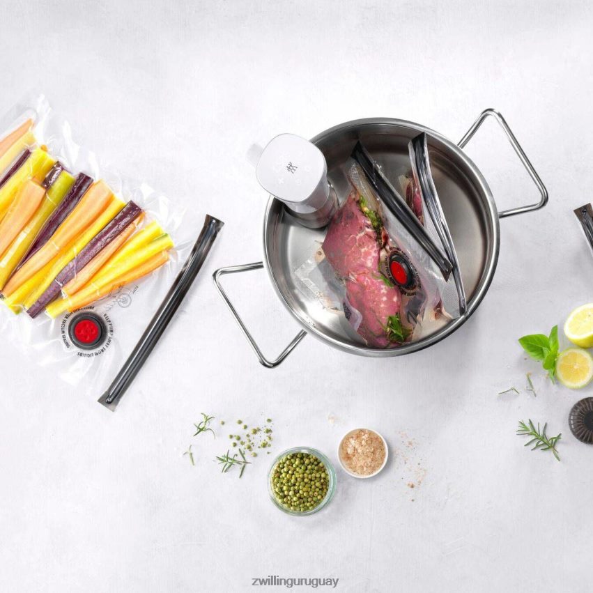 set de inicio sous vide fresco y guardado Zwilling cocina A688HF527 - Image 5
