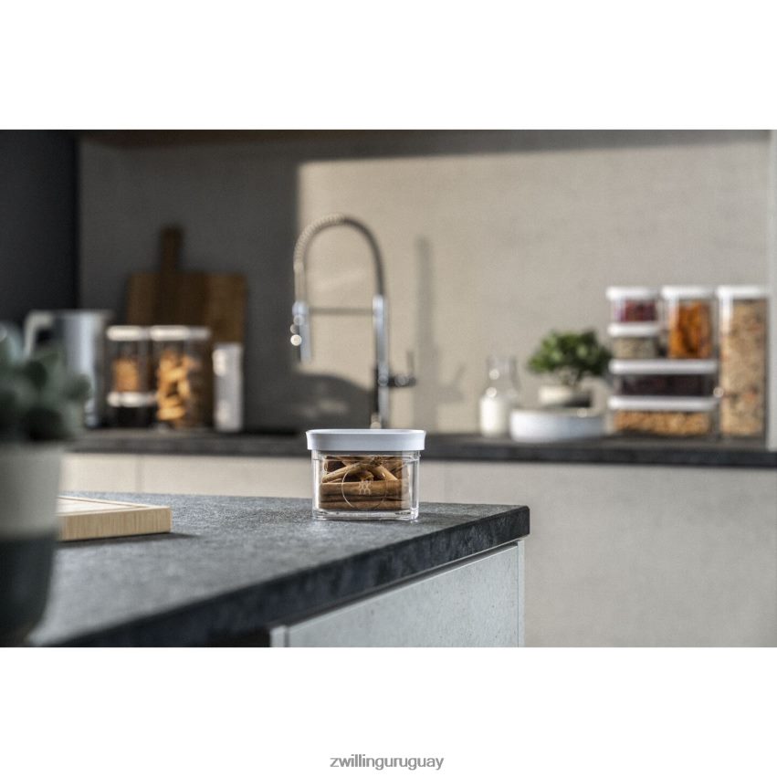 Contenedor de cubos Fresh & Save S, 0,35 qt, blanco transparente Zwilling cocina A688HF481