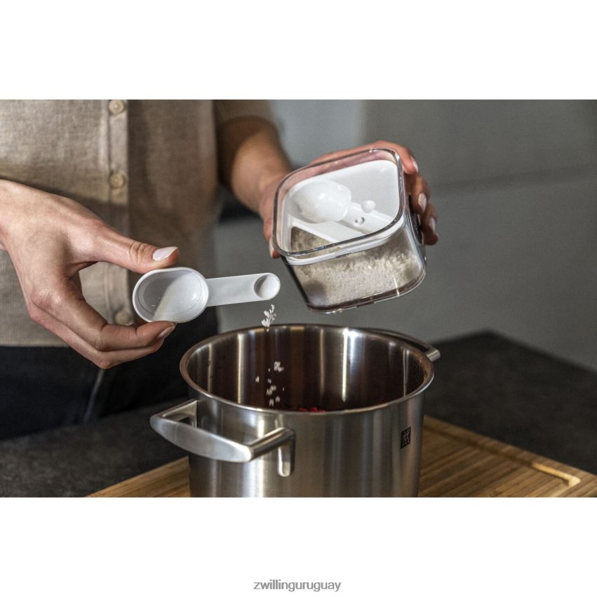 Contenedor de cubos Fresh & Save S, 0,35 qt, blanco transparente Zwilling cocina A688HF481