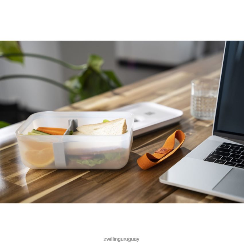 Fresh & Save l fiambrera al vacío, plástico, gris semitransparente Zwilling cocina A688HF493