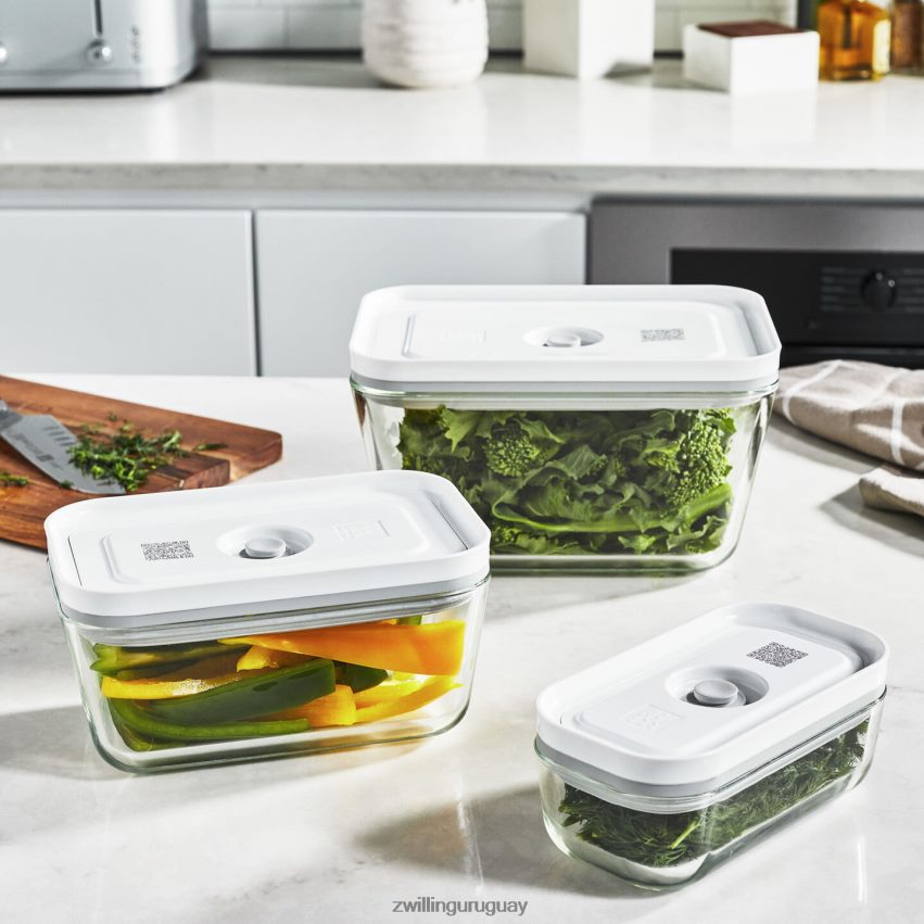 Fresh & Save s/m/l / juego de recipientes al vacío de 3 piezas, gris Zwilling cocina A688HF451