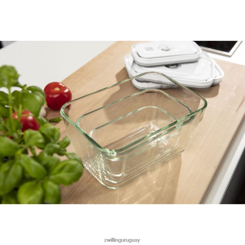 Fresh & Save s/m/l / juego de recipientes al vacío de 3 piezas, gris Zwilling cocina A688HF451