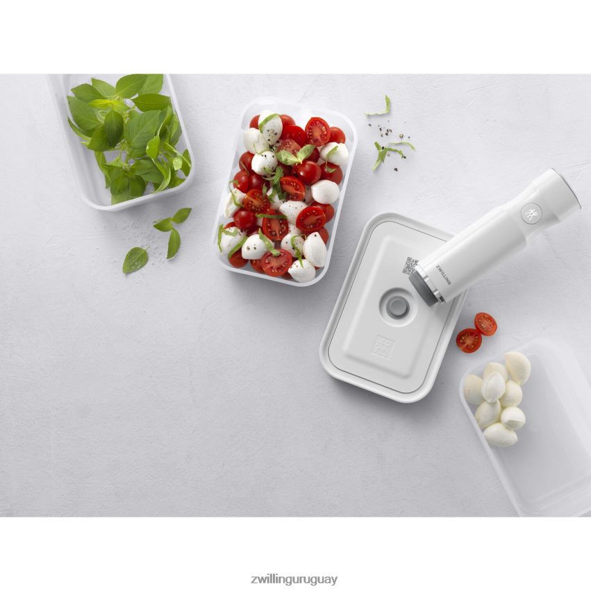 Fresh & Save s/m/l / recipiente al vacío de 3 piezas, plástico, gris semitransparente Zwilling cocina A688HF476