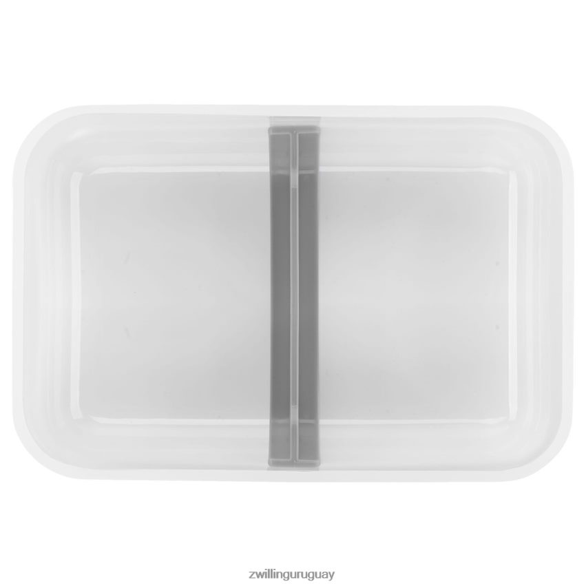 Fresh & save l fiambrera plana al vacío, plástico, gris semitransparente Zwilling cocina A688HF473