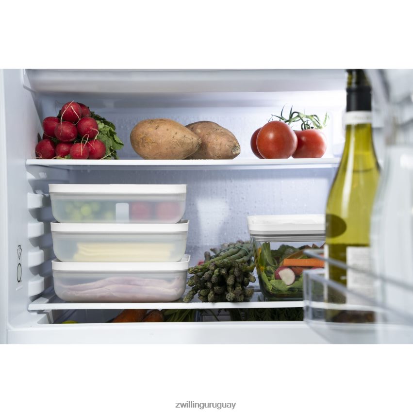 Fresh & save l fiambrera plana al vacío, plástico, gris semitransparente Zwilling cocina A688HF473