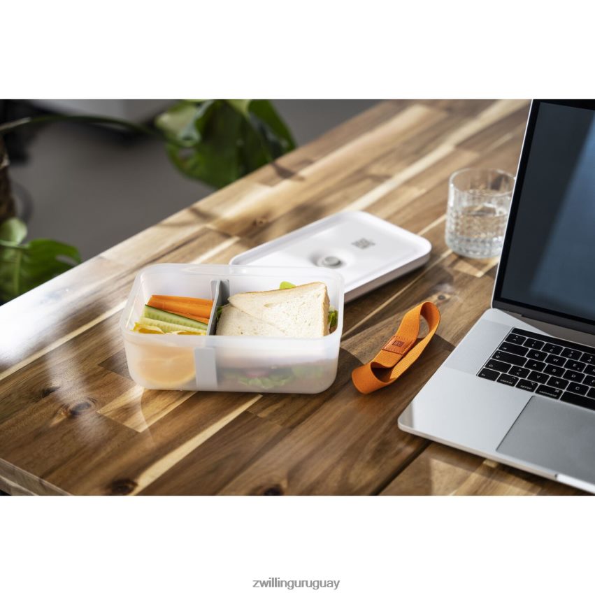 Juego de accesorios para aspiradora Fresh & Save bandas elásticas, 3 piezas Zwilling cocina A688HF488