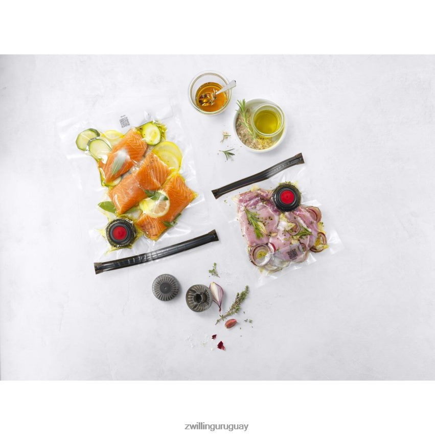 Juego de accesorios para aspiradora Fresh & Save con barrera líquida, 6 piezas Zwilling cocina A688HF453