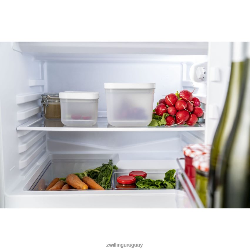 Juego de bandejas recogegotas Fresh & Save para recipientes de plástico, m/l / 2 unidades Zwilling cocina A688HF494