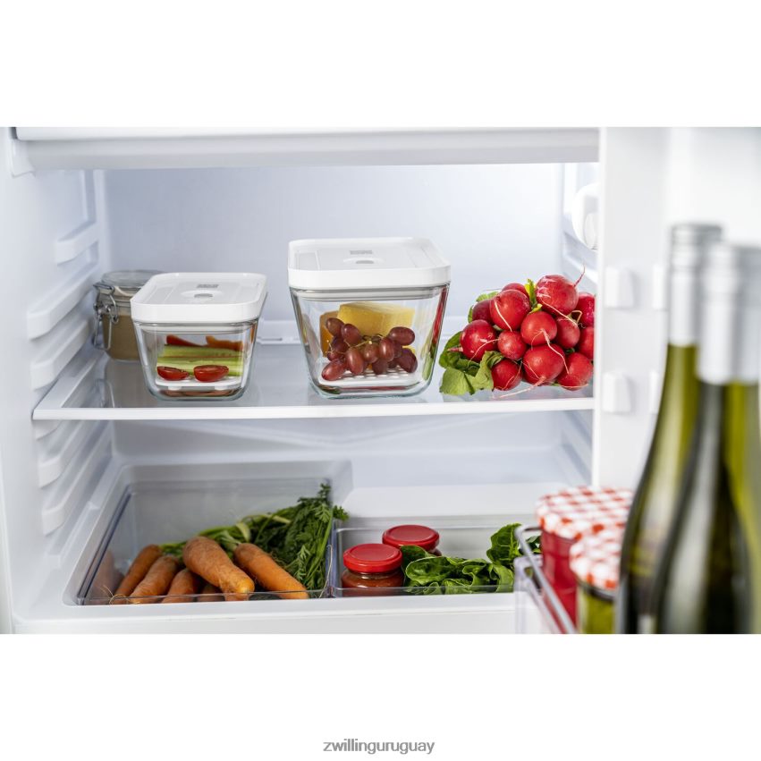 Juego de bandejas recogegotas Fresh & Save para recipientes de vidrio, m/l / 2 piezas Zwilling cocina A688HF466