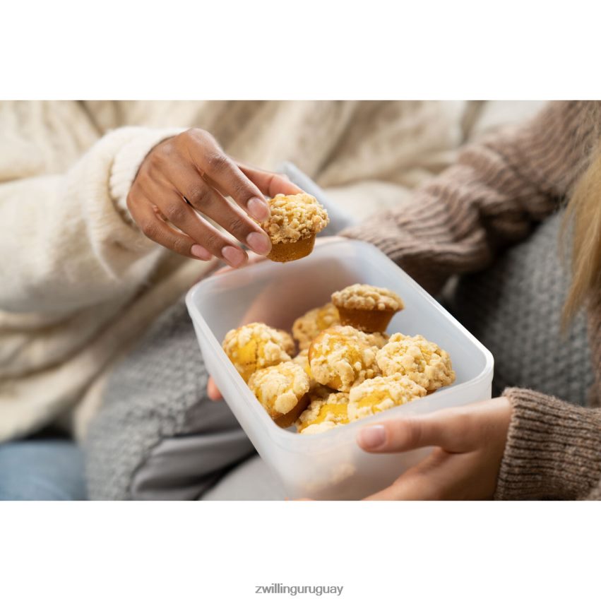 Recipiente frigorífico al vacío Fresh & Save, plástico, gris semitransparente Zwilling cocina A688HF486