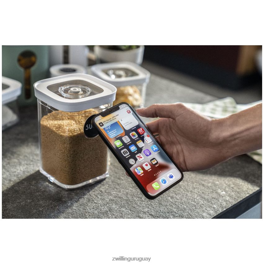 Recipiente para cubos Fresh & Save 2 unidades, 0,875 qt, blanco transparente Zwilling cocina A688HF526