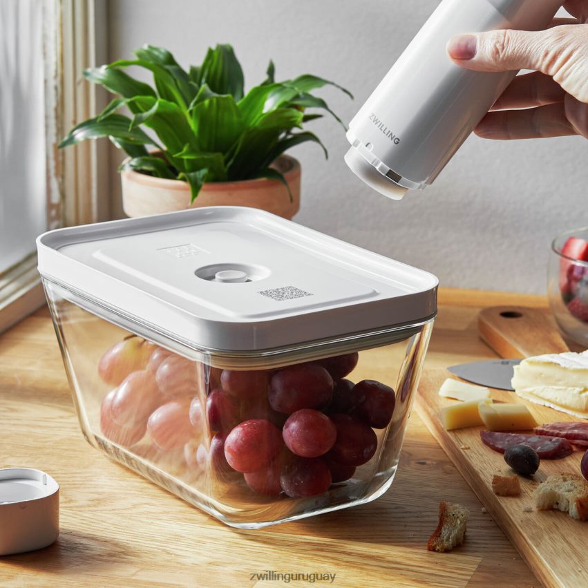 Set básico de vacío de vidrio Fresh & Save, 32 piezas Zwilling cocina A688HF449