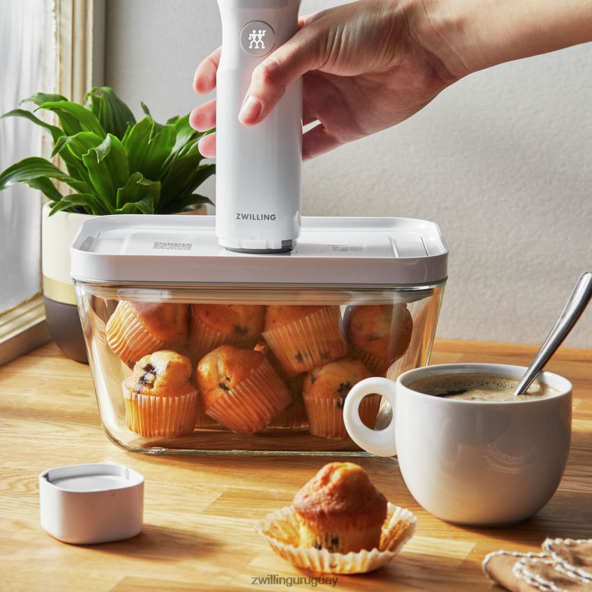 Set básico de vacío de vidrio Fresh & Save, 32 piezas Zwilling cocina A688HF449