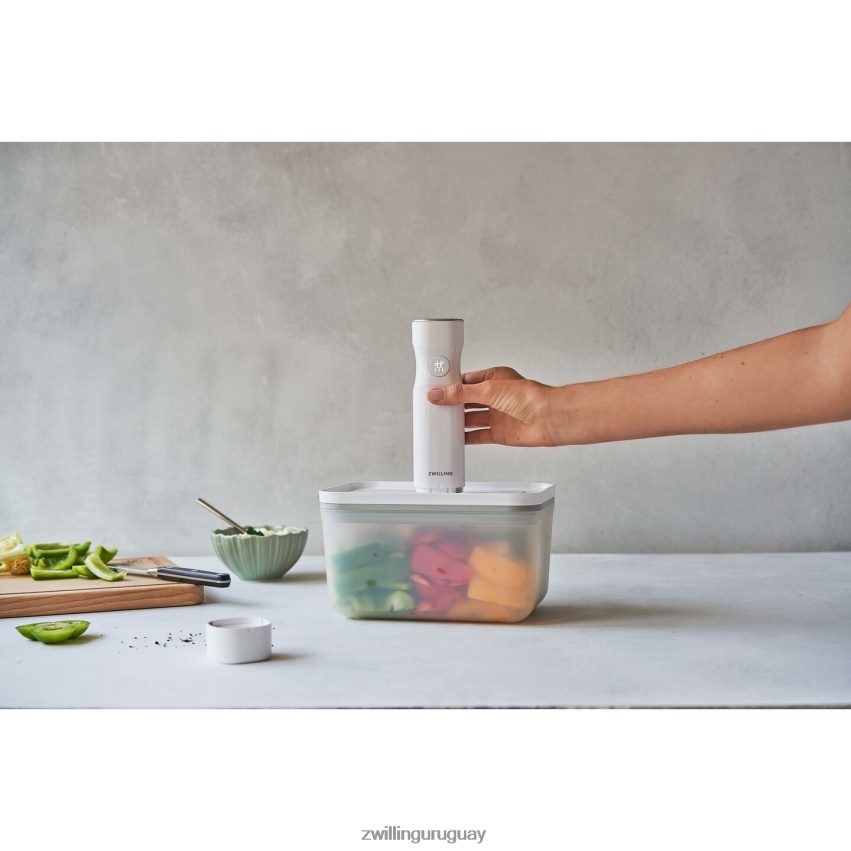 recipiente al vacío Fresh & Save l, plástico, gris semitransparente Zwilling cocina A688HF506