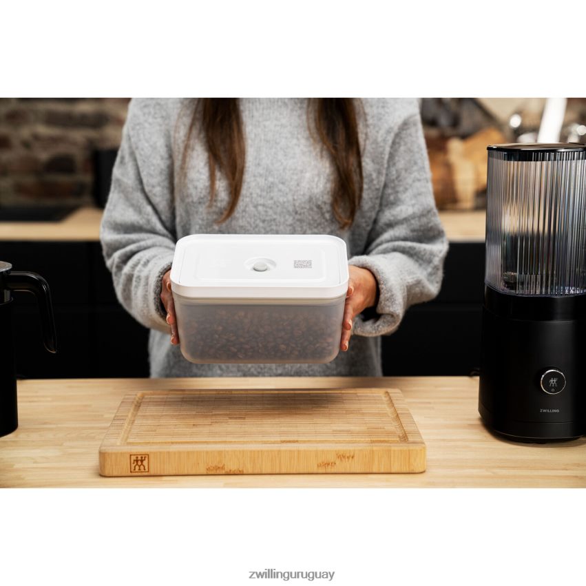 recipiente al vacío Fresh & Save l, plástico, gris semitransparente Zwilling cocina A688HF506