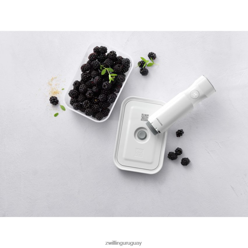 recipiente al vacío Fresh & Save m, plástico, gris semitransparente Zwilling cocina A688HF503
