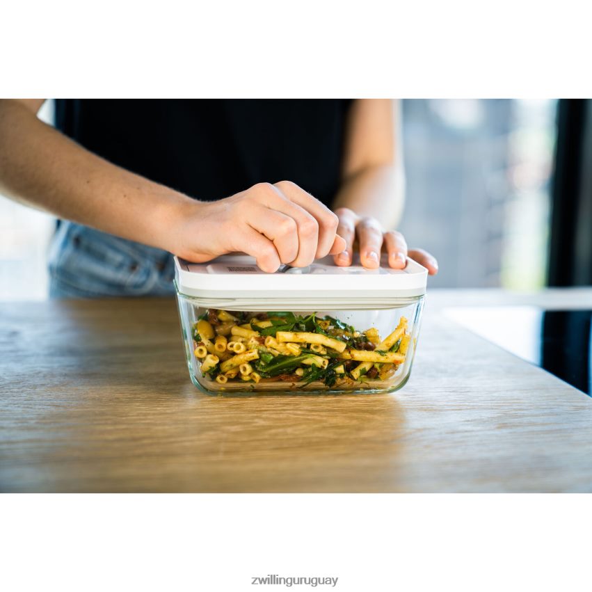 recipiente vacío mediano Fresh & Save m/2 piezas, vidrio, gris Zwilling cocina A688HF471