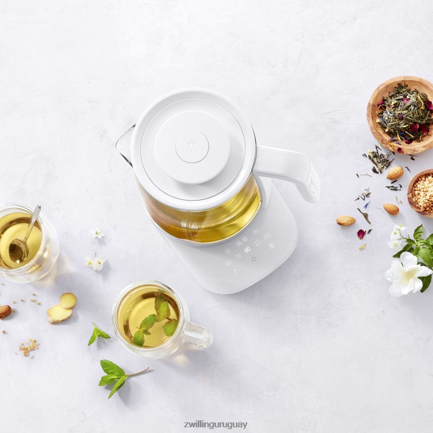 Hervidor de vidrio enfinigy - plateado - reacondicionado Zwilling cuchillería A688HF548