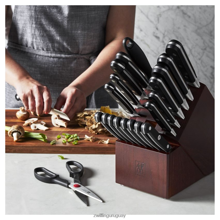 pro 22 piezas, juego de bloques de cuchillos, plateado-negro Zwilling cuchillería A688HF379