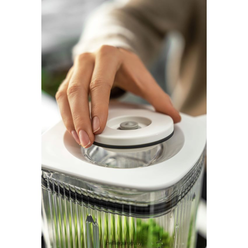 Adaptador de vacío enfinigy para batidora de mesa o eléctrica, blanco Zwilling electricidad A688HF531