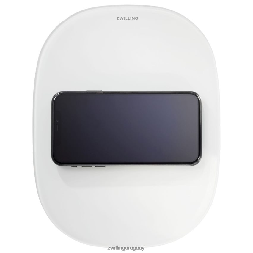 Báscula de cocina con carga inalámbrica enfinigy - plateada Zwilling electricidad A688HF578