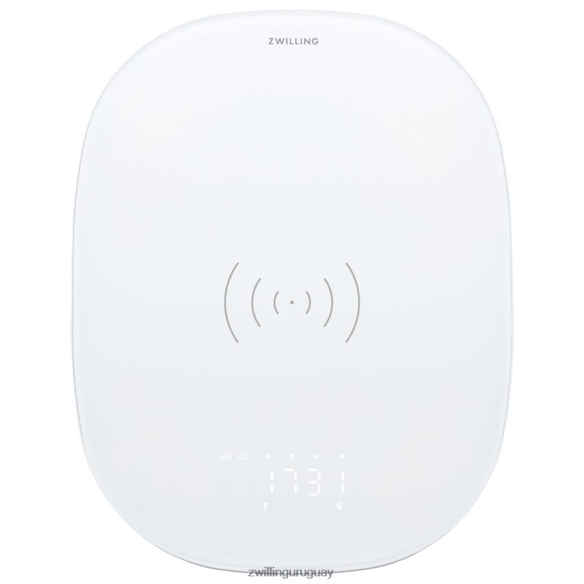 Báscula de cocina con carga inalámbrica enfinigy - plateada Zwilling electricidad A688HF578