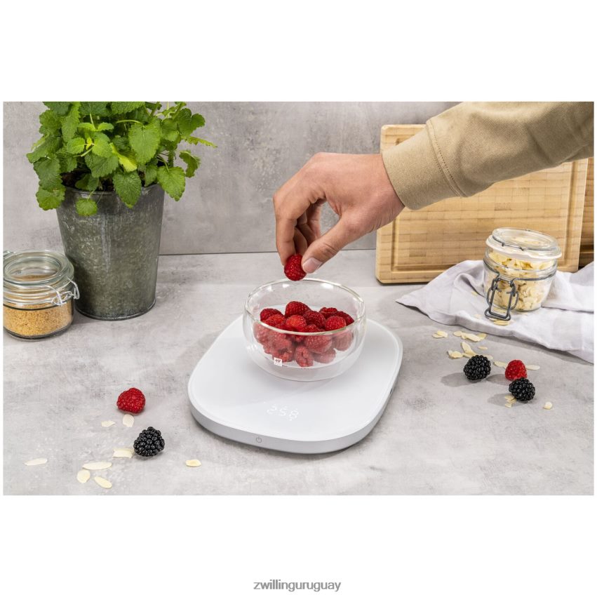 Báscula de cocina con carga inalámbrica enfinigy - plateada Zwilling electricidad A688HF578