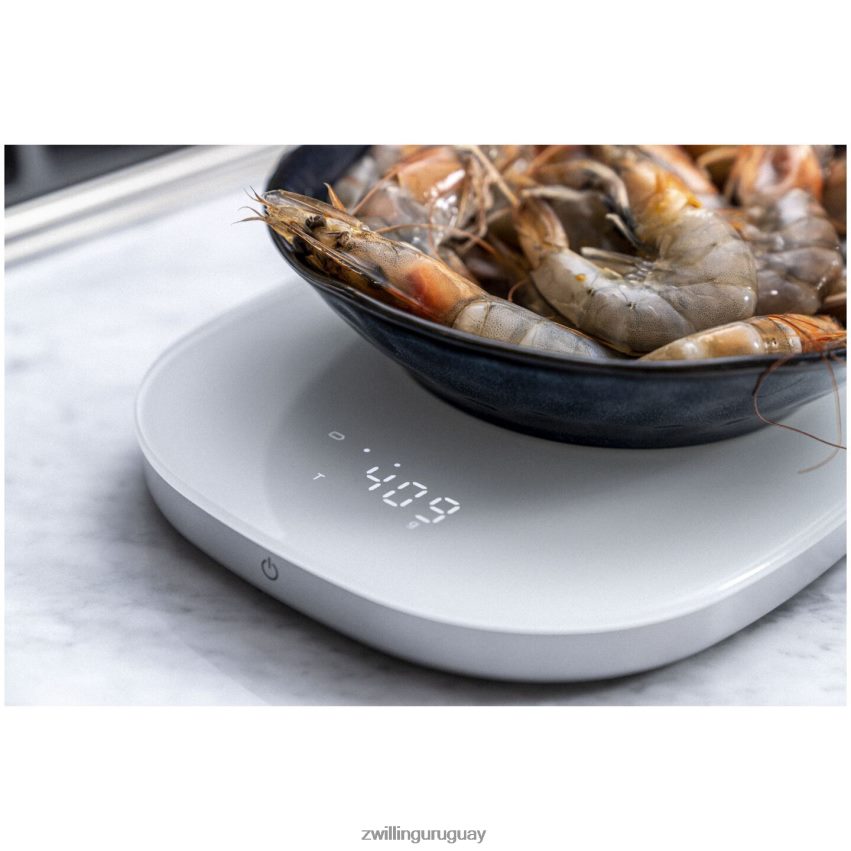 Báscula de cocina con carga inalámbrica enfinigy - plateada Zwilling electricidad A688HF578