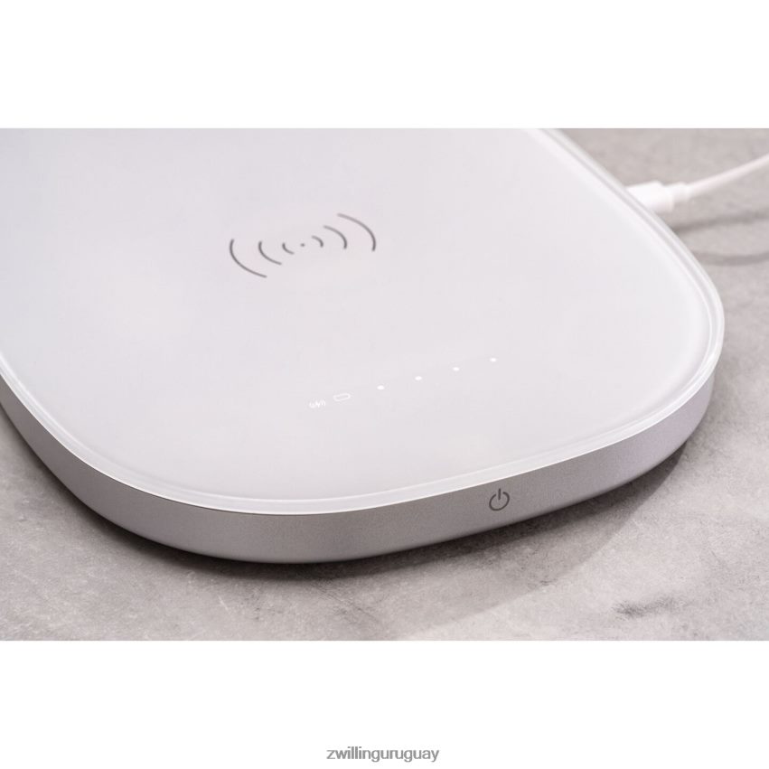 Báscula de cocina con carga inalámbrica enfinigy - plateada Zwilling electricidad A688HF578