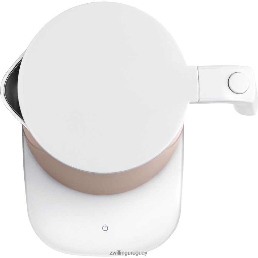 enfinigy 1,5 l, hervidor de agua cool touch pro - rosa Zwilling electricidad A688HF563