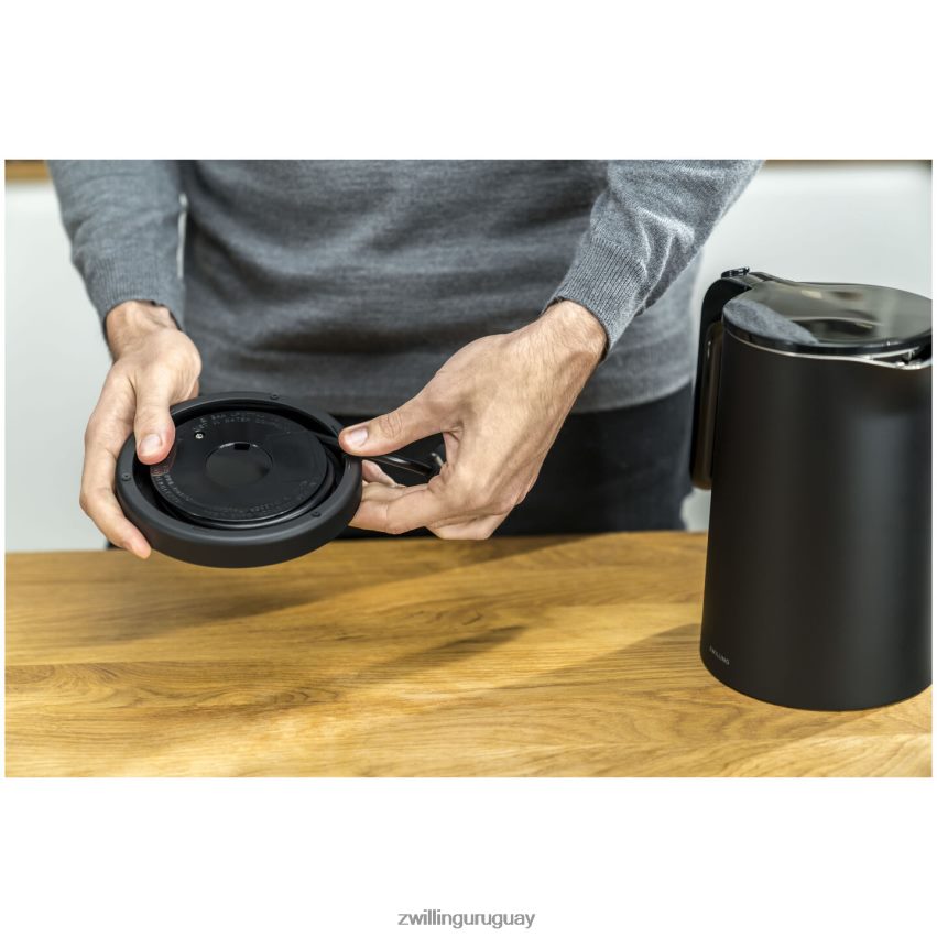 enfinigy 1 l, hervidor eléctrico Zwilling electricidad A688HF537